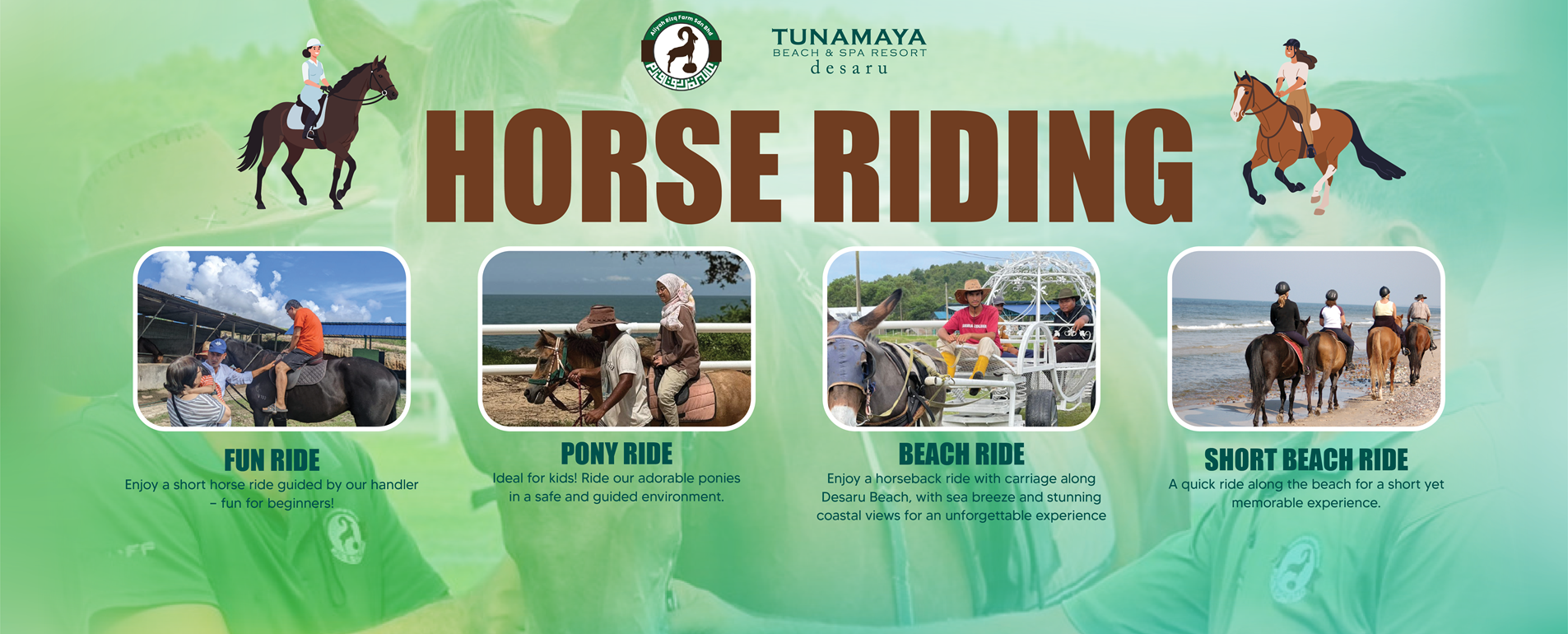 Horse Riding Activity