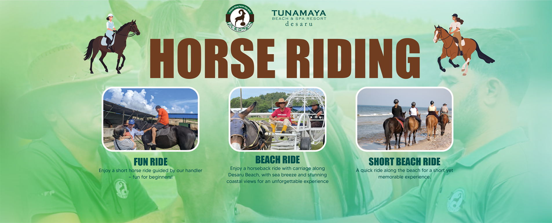 Horse Riding Activity